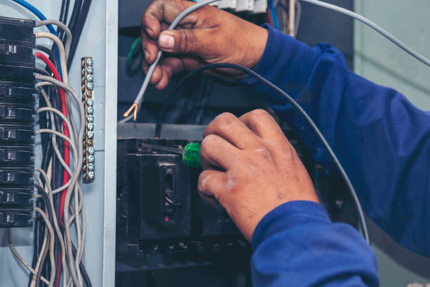 Best Affordable Electrician  in Blue Ridge, GA